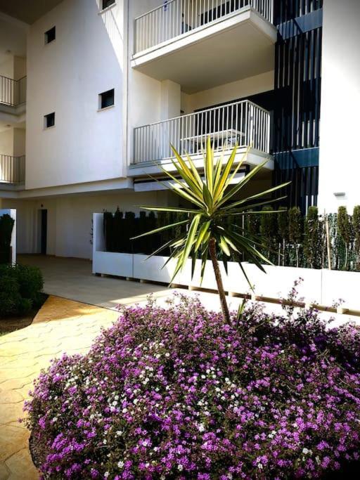 דירות רוטה Mychoice Terraces מראה חיצוני תמונה